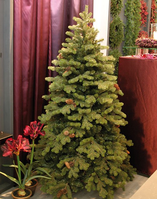 ALBERO DI NATALE ABETE CON PIGNE 480CM