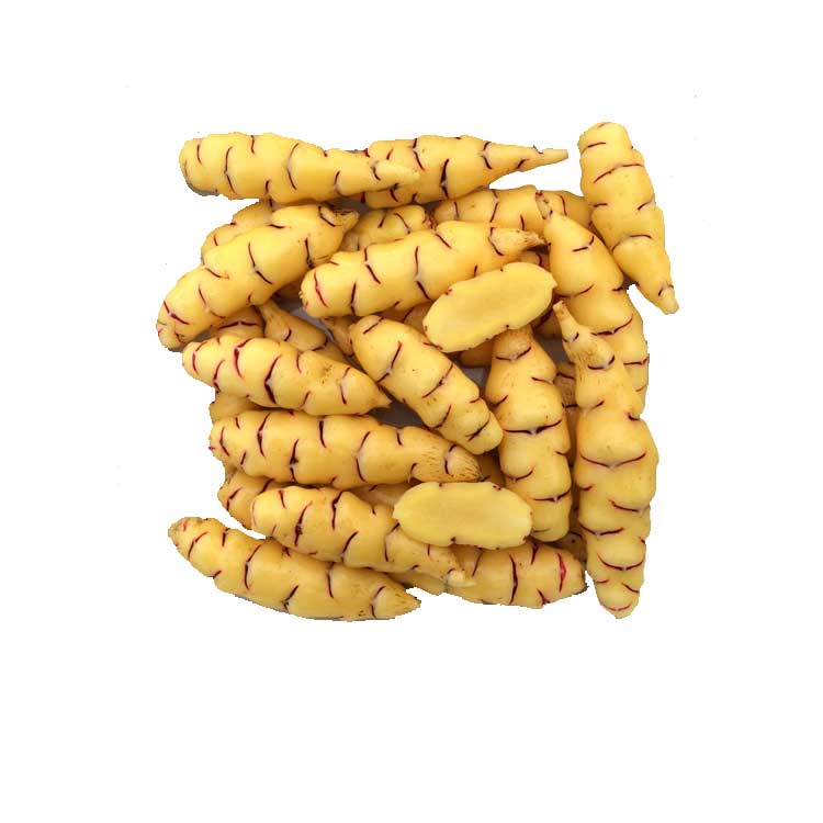 OCA DEL PERU' OSSALIDE MERLATA (CONFEZIONE DA 5 TUBERI)