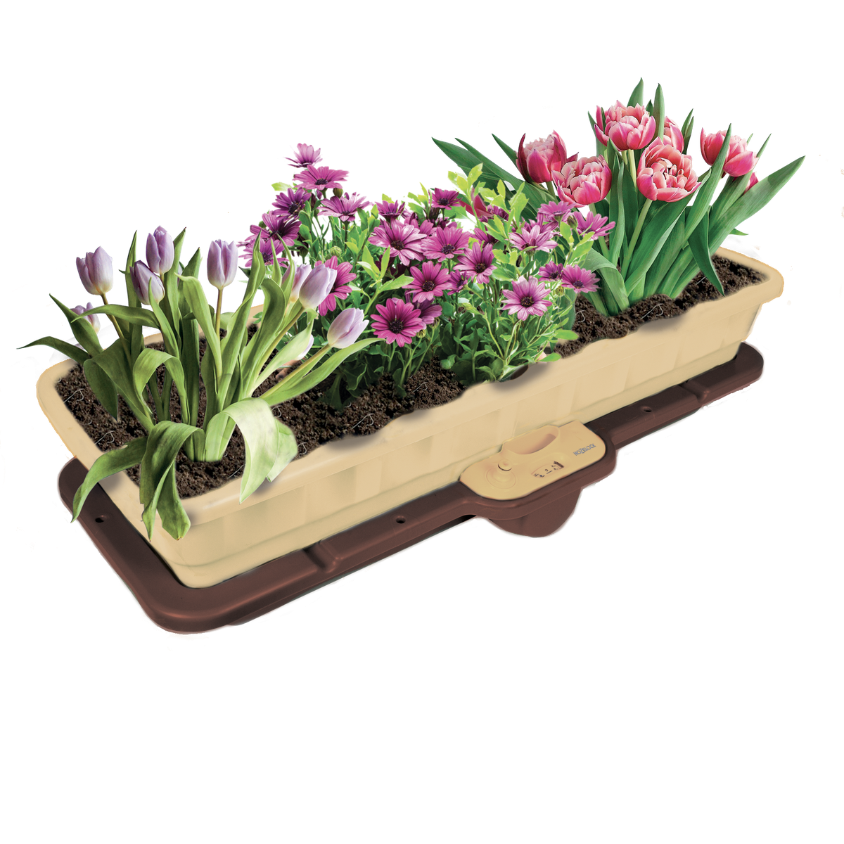 EASYPLANT 3 IN 1 CASSETTA PER ORTO GIARDINO TERRAZZO