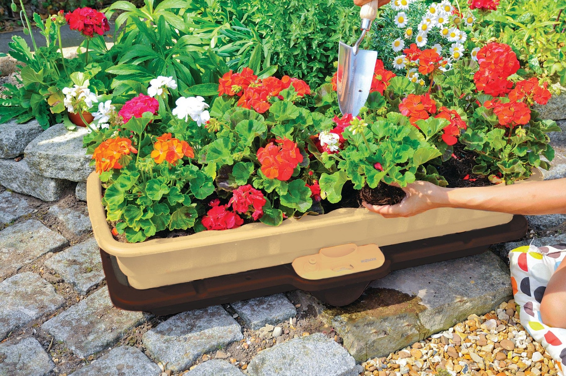 EASYPLANT 3 IN 1 CASSETTA PER ORTO GIARDINO TERRAZZO