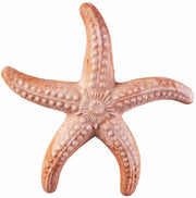 STELLA MARINA IN TERRACOTTA 20CM