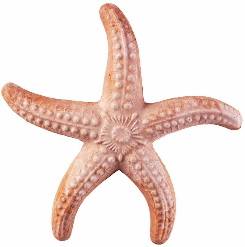 STELLA MARINA IN TERRACOTTA 20CM