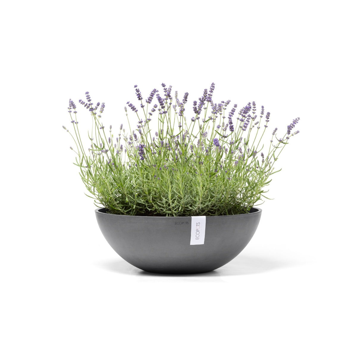 VASO VIENNA 50 CM GRIGIO