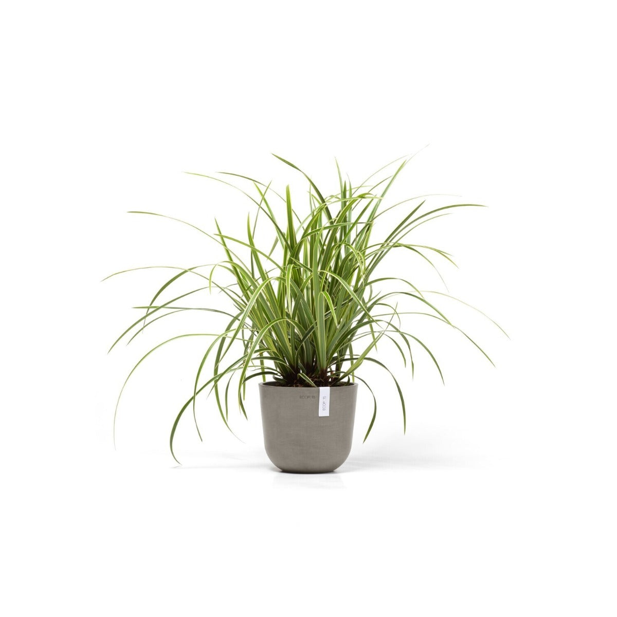 VASO OSLO MINI 19X16,5CM TALPA