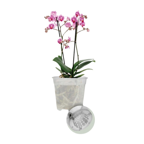 VASO PER ORCHIDEE ORCHIDPOT 9CM TRASPARENTE