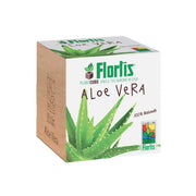 PLANTCUBE ALOE VERA 7.5X7.5X7.5 CM