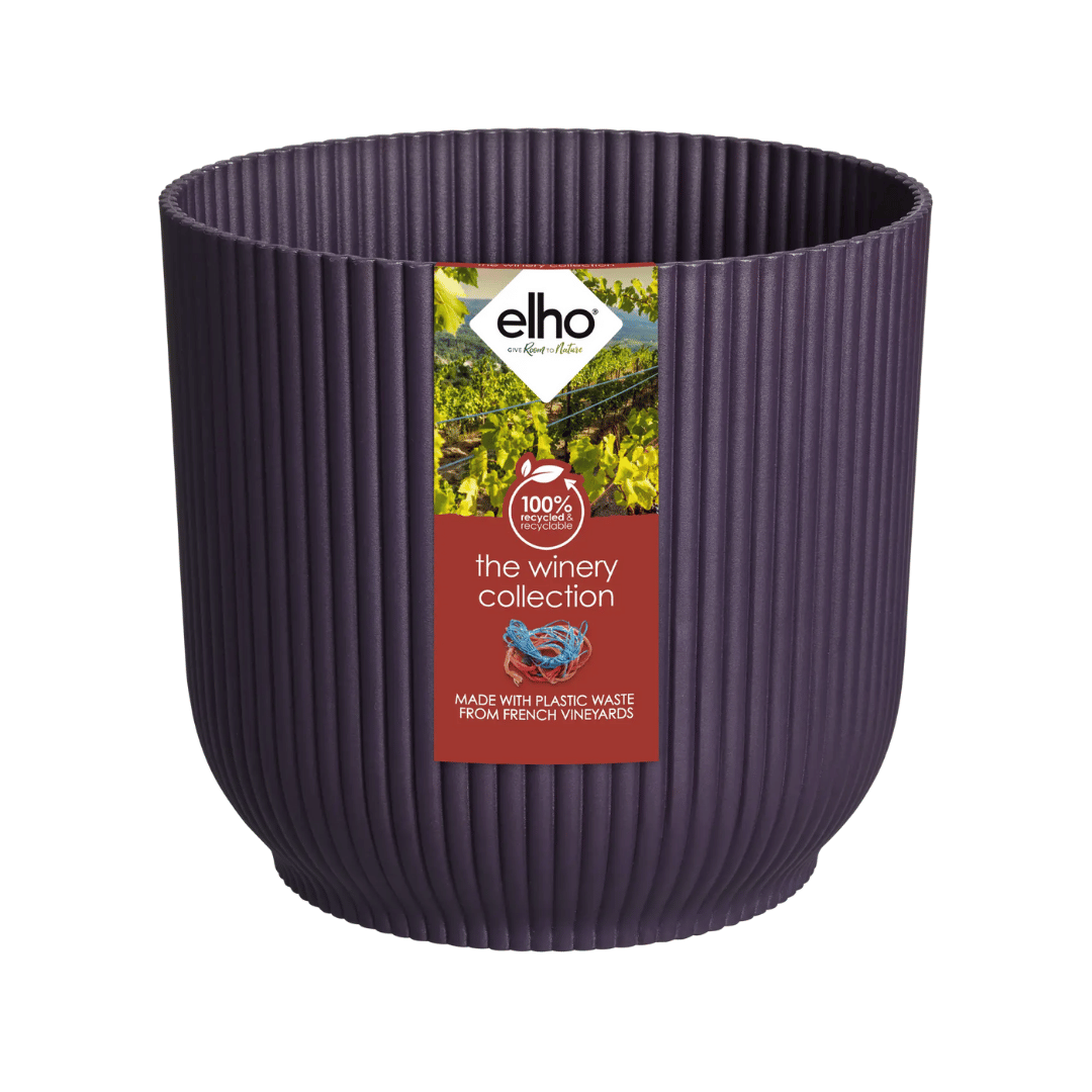 VASO THE WINERY COLLECTION 14CM PORPORA SCURO