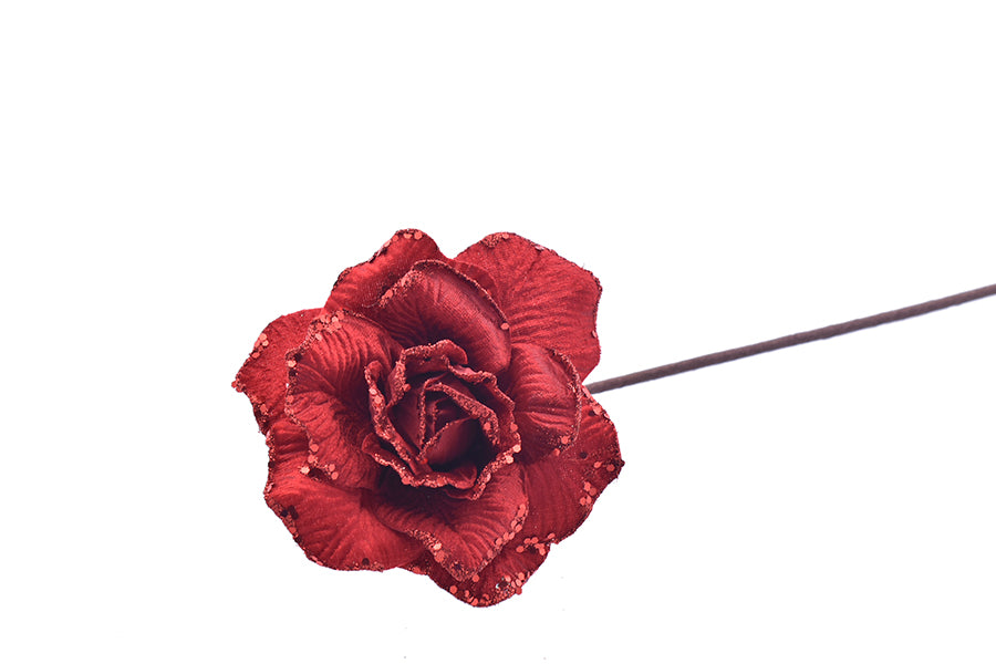 OFFERTA 10 ROSE CON GAMBO LUNGO ROSSE 70CM