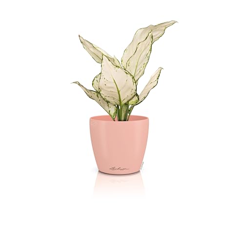 Vaso Classico "Deco 12" D13 H12CM Rosa Magnolia Opaco LECHUZA