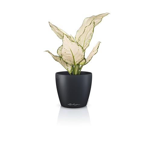 Vaso Classico "Deco 12" D13 H12CM Grigio Ardesia Opaco LECHUZA