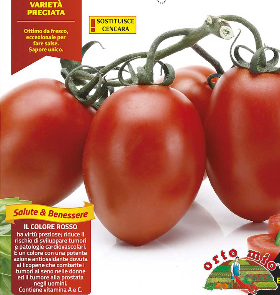 6 PIANTE IN PACK POMODORO OVALE CENCARA ORTOMIO