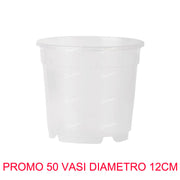50 VASI PER ORCHIDEE Ø12CM TRASPARENTI