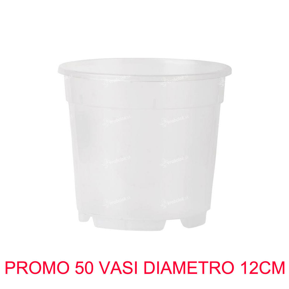 50 VASI PER ORCHIDEE Ø12CM TRASPARENTI