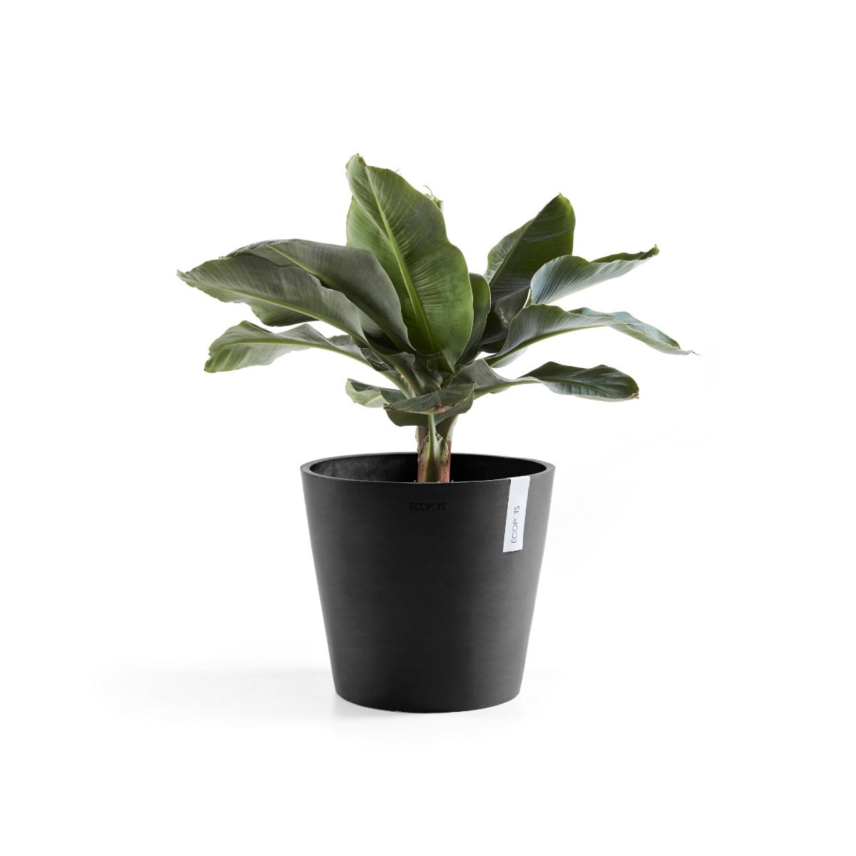 VASO AMSTERDAM D25 H24,50CM NERO