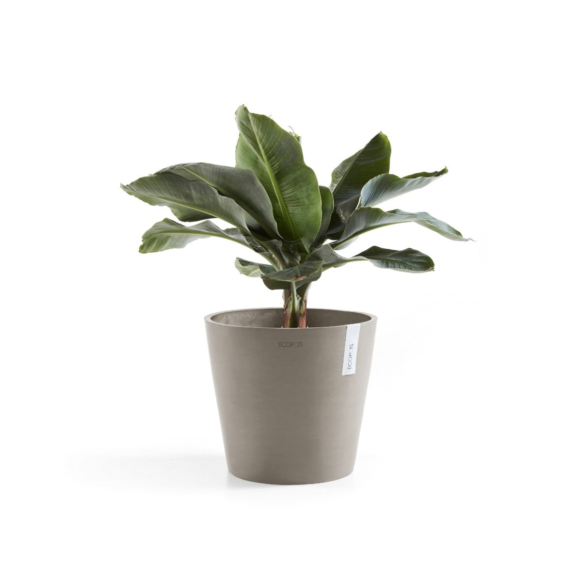 VASO AMSTERDAM D25 H24,50CM TALPA