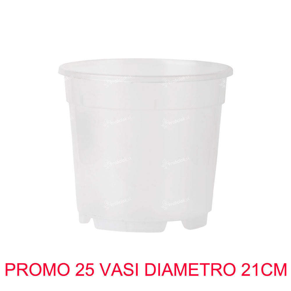 25 VASI PER ORCHIDEE Ø21CM TRASPARENTE