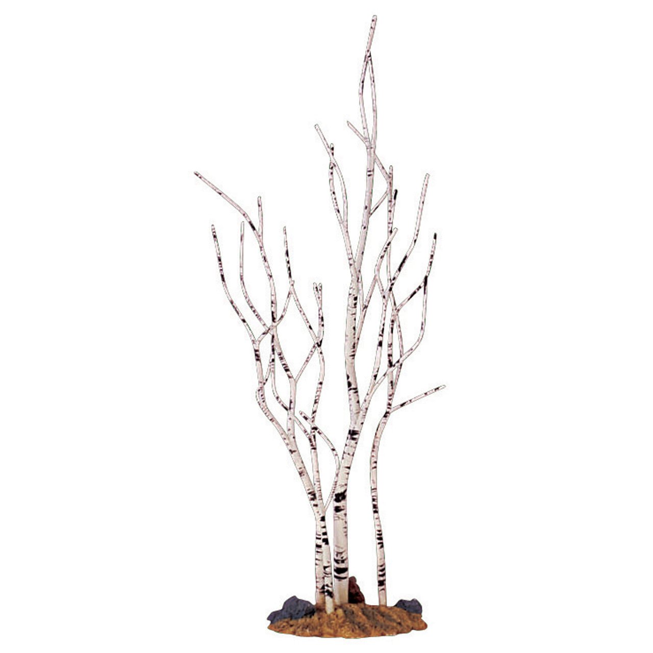 ALBERO DI BETULLA - BIRCH TREE