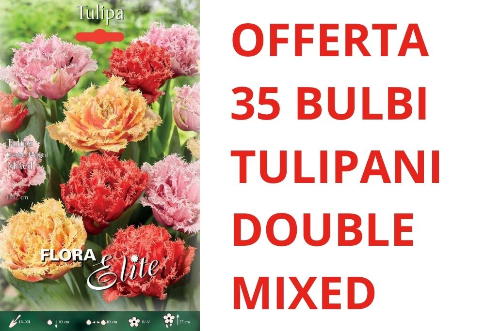 OFFERTA 35 BULBI DI TULIPANO DOUBLE FRINGED MIXED