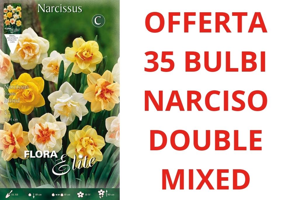 OFFERTA 35 BULBI DI BULBI NARCISO DOUBLE MIX