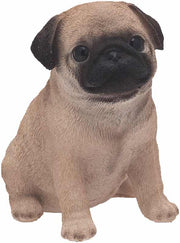 CARLINO MIGNON 11CM