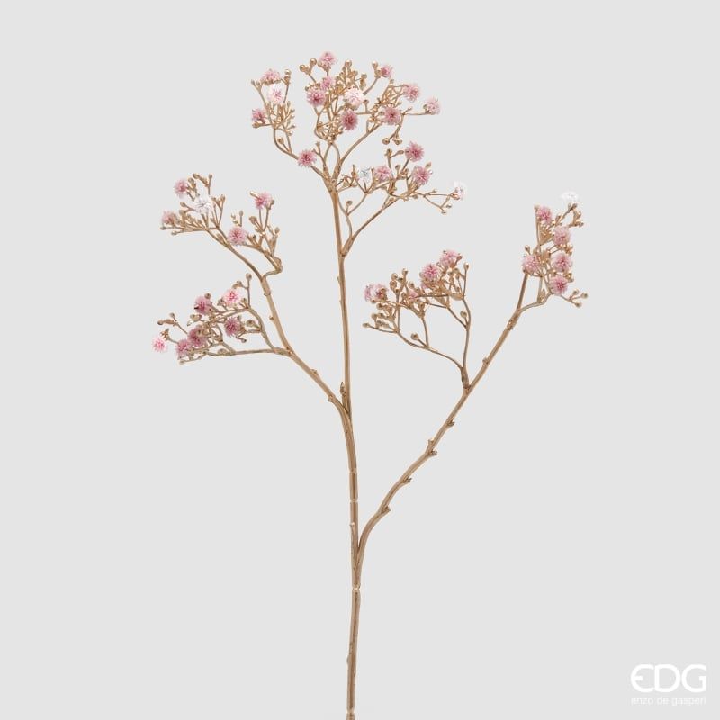 Ramo Gypsophila Stelo Oro H.68 Rosa