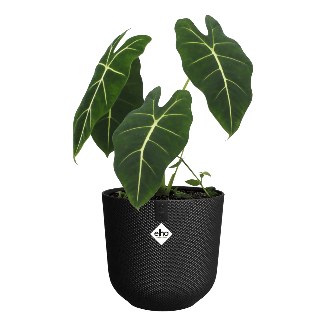 VASO JAZZ ROUND 14CM LIVING BLACK