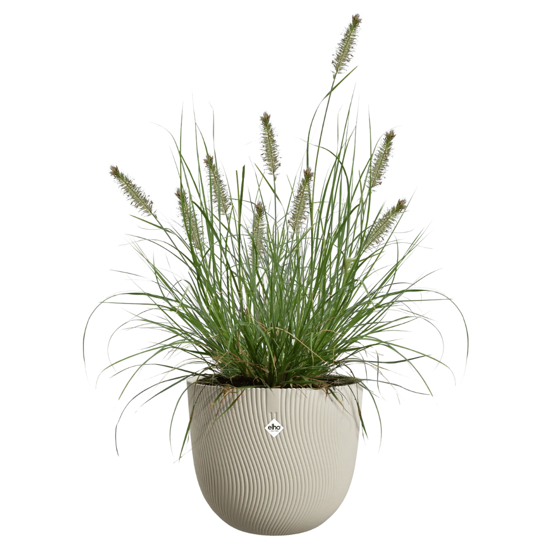 VASO SEREH ROUND 30CM BEIGE FUNGO