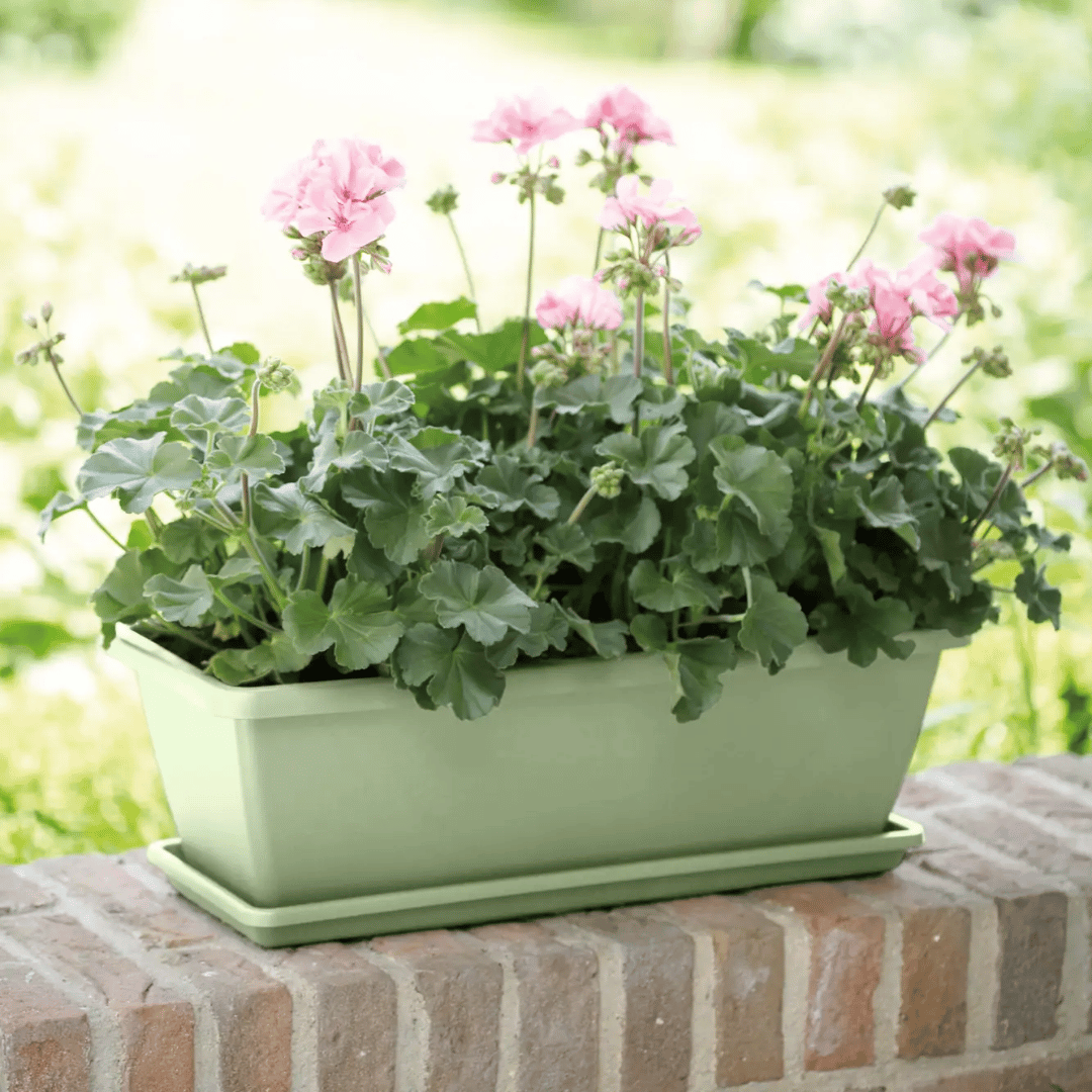 SOTTOVASO BARCELONA TROUGH SAUCER 70CM PISTACHE GREEN