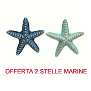 OFFERTA 2PZ DECORAZIONE STELLA MARINA IN CERAMICA 3X14X13.5 CM ASSORTITA