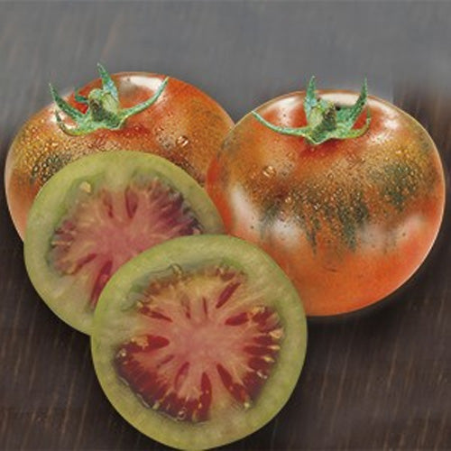 3 PIANTE IN VASO Ø10CM DI POMODORO REGINELLA SARDO
