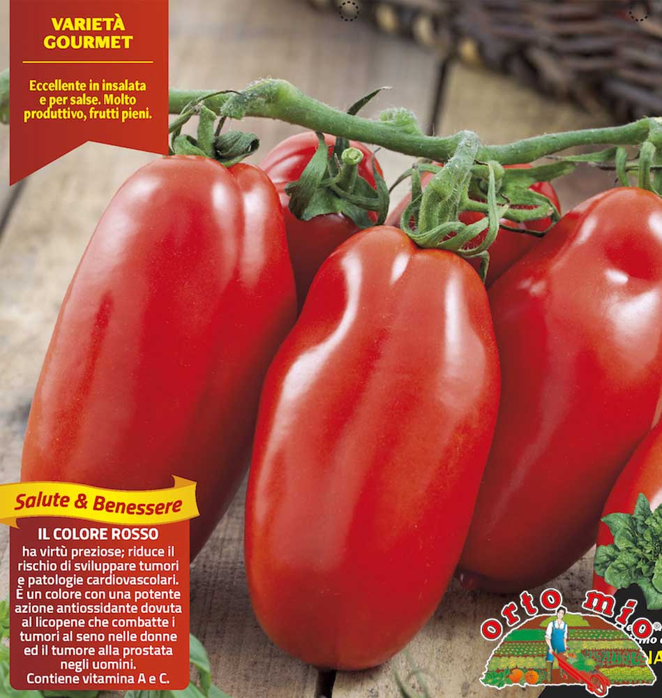 6 PIANTE IN PACK POMODORO LUNGO ADAMO ORTOMIO