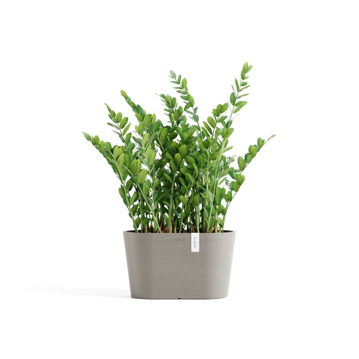 VASO TOKYO D30 H17 TALPA