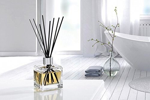 LAMPE BERGER BOUQUET PROFUMATO CUBE ANTI ODORE ANIMALI