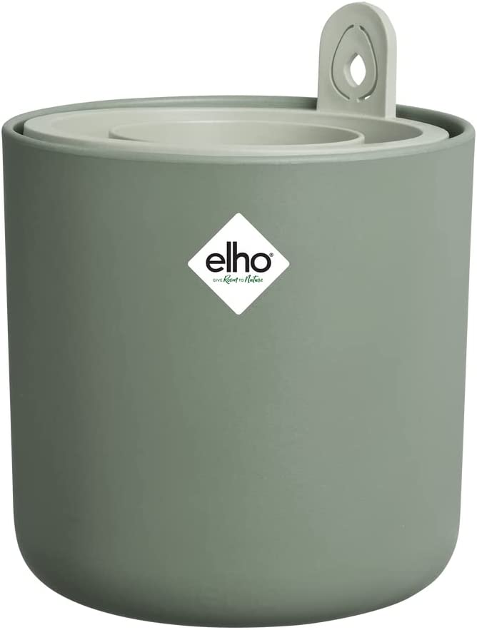 VASO AMAZING AVOCADO POT LEAF GREEN