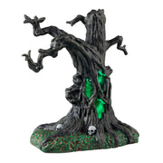 ALBERO DELL'ORRORE - CREEPY TREE