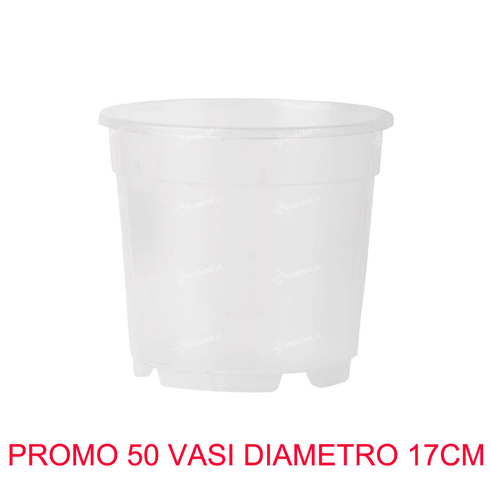 50 VASI PER ORCHIDEE Ø17CM TRASPARENTI