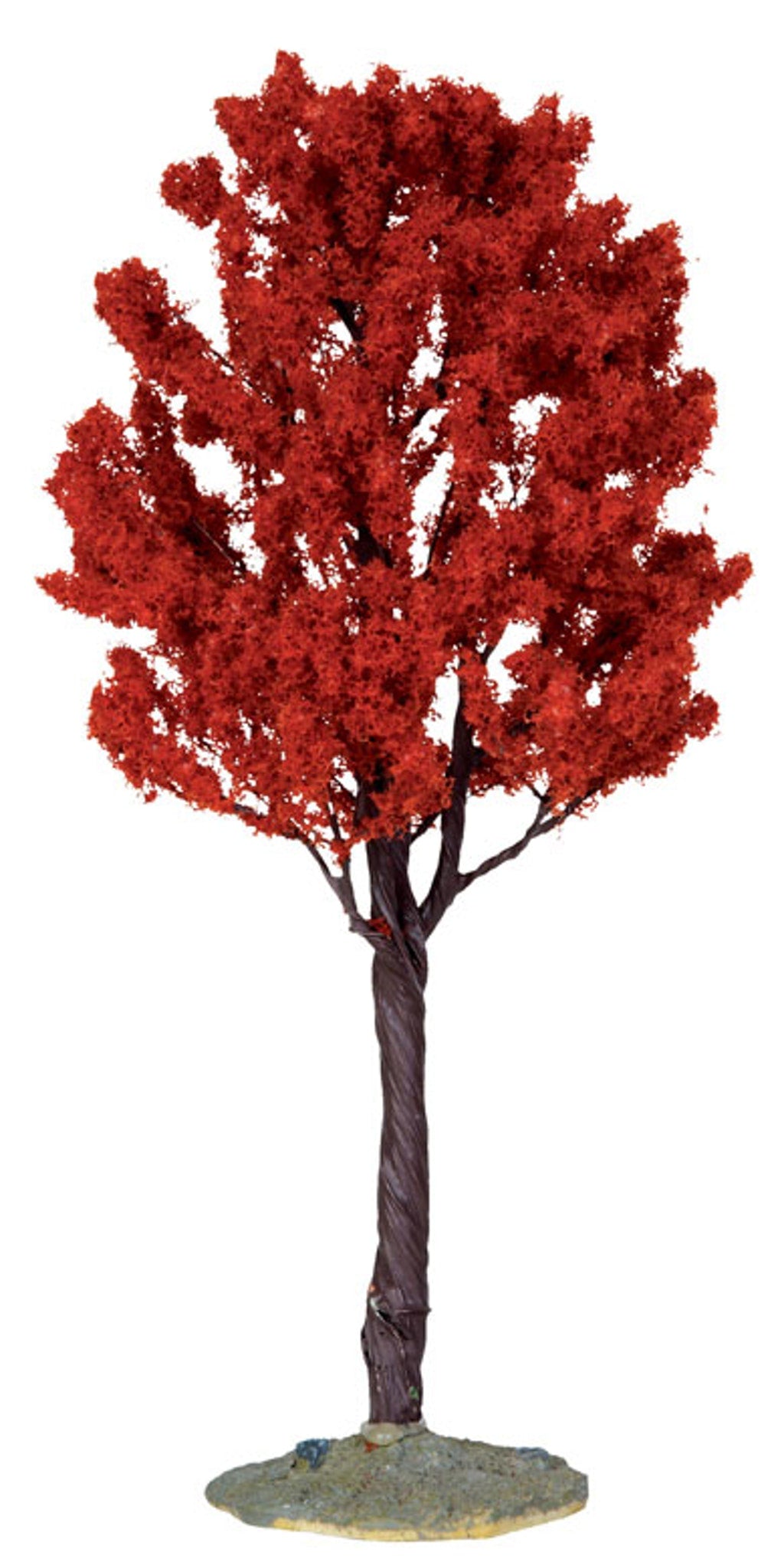 CIPRESSO ALTO - BALDCYPRESS TREE, LARGE