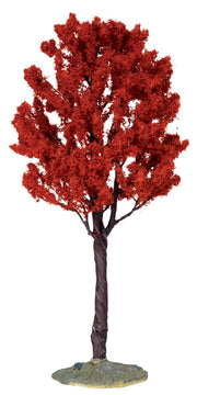 CIPRESSO ALTO - BALDCYPRESS TREE, LARGE