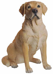 LABRADOR 54 CM