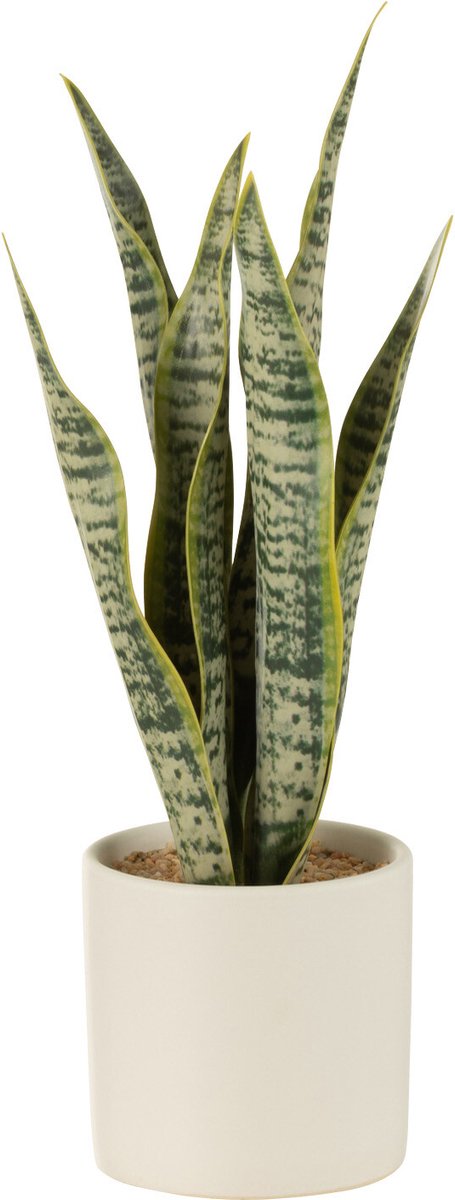 PIANTA SANSEVIERIA + VASO, VERDE, GRANDE