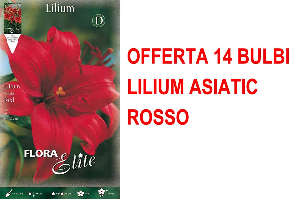 OFFERTA 14 BULBI LILIUM ASIATIC ROSSO