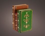 Libro LED in polyresin 15,5 x 18,5 x 27 cm multicolore Peraga Christmas