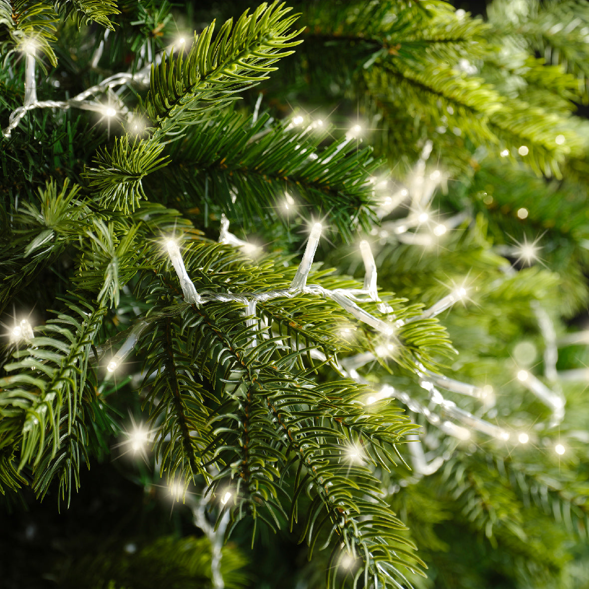 Catena luminosa, 60 metri, 3000LED, 8 giochi di luce e luce bianco caldo.