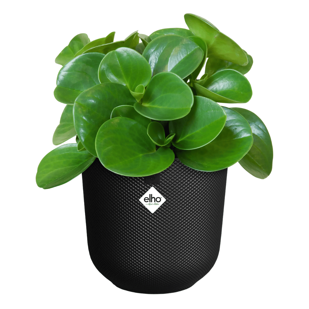 VASO JAZZ ROUND 16CM LIVING BLACK