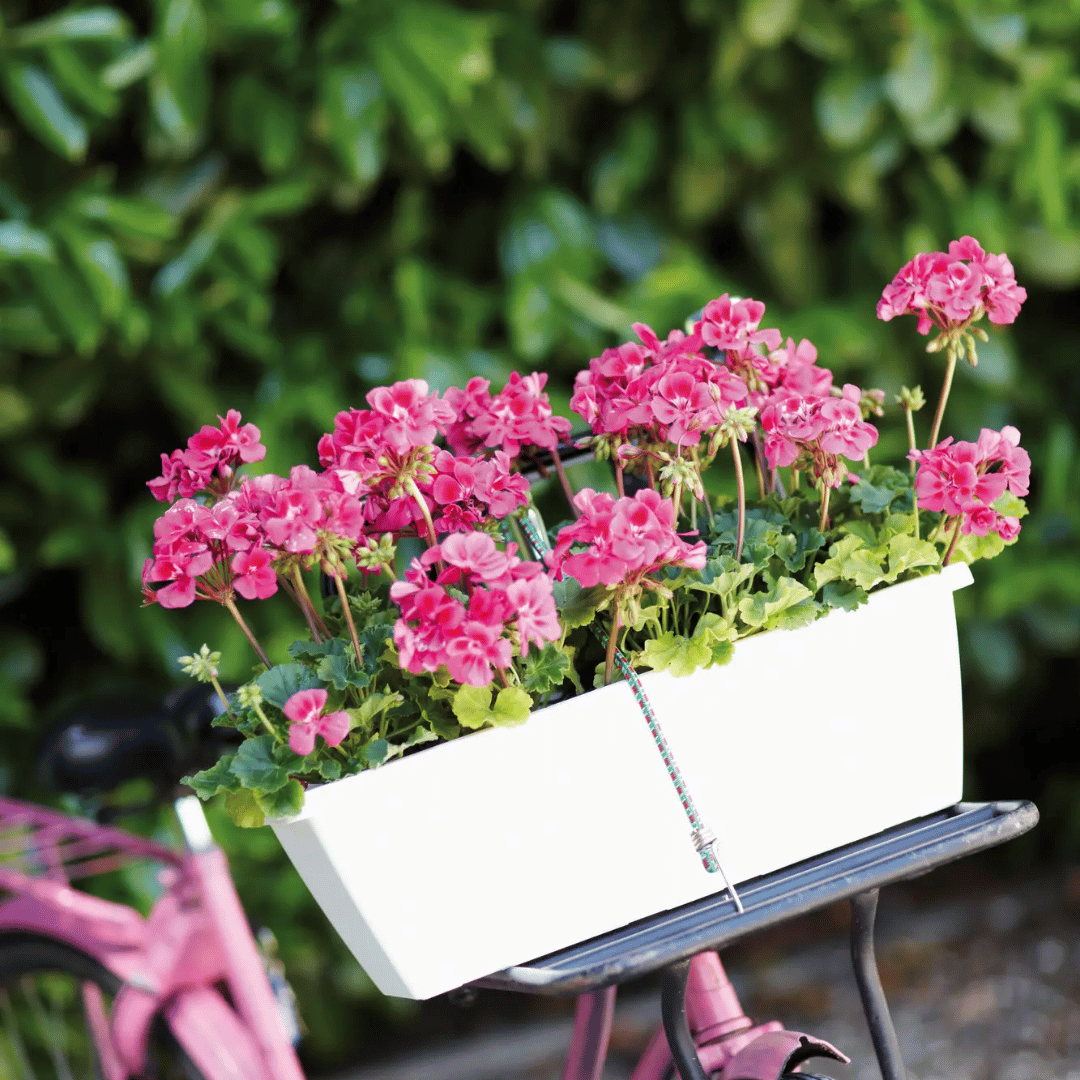 FIORIERA BARCELONA TROUGH 90CM BIANCO