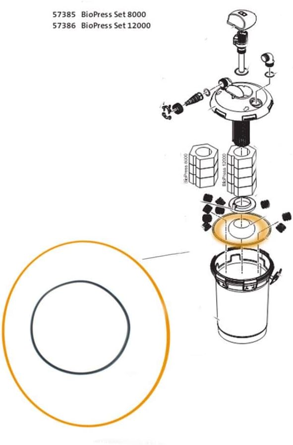 O-RING NBR PER PONTECPONDO PRESS