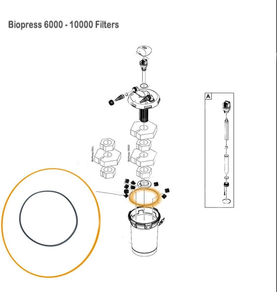 O-RING NBR PER PONTECPONDO PRESS