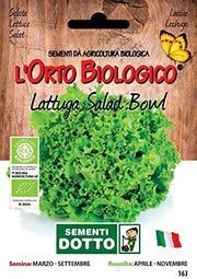 ORTO BIO LATTUGA SALAD BOWL SEMENTI DOTTO