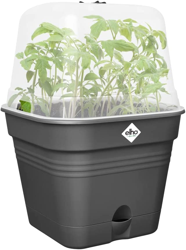 VASO DA COLTURA GREEN BASICS GROWPOT SQUARE ALLIN1 15CM LIVING BLACK