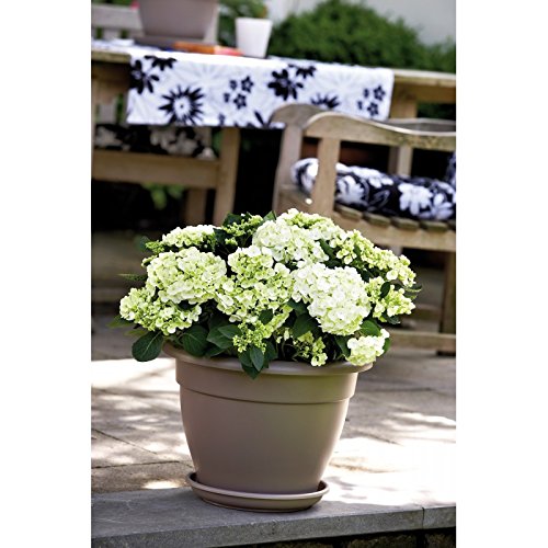 VASO TORINO CAMPANA 40CM COLORE A SCELTA